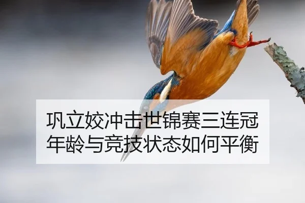 gong-li-jiao-chong-ji-shi-jin-sai-san-lian-guan-nian-ling-yu-jing-ji-zhuang-tai-ru-he-ping-heng-2-117.jpg