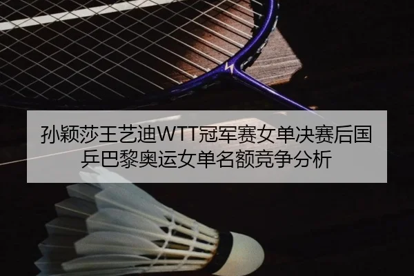 孙颖莎王艺迪WTT冠军赛女单决赛后国乒巴黎奥运女单名额竞争分析